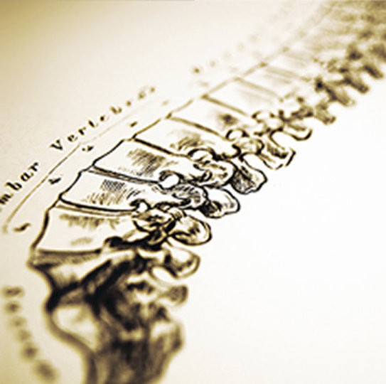 Jason Le Roy, osteopath in Hobart